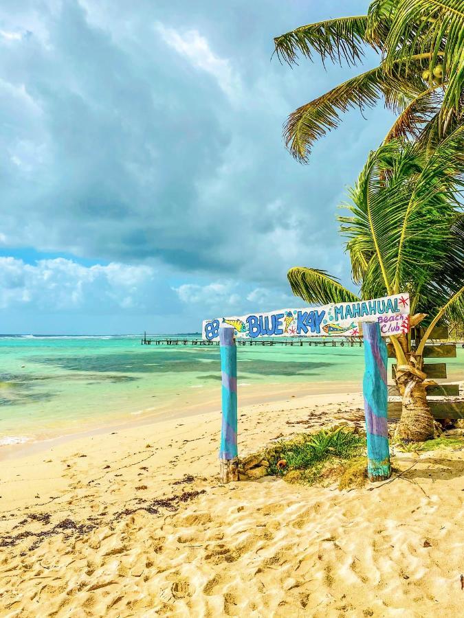 Eco Cabanas Bluekay Mahahual Ngoại thất bức ảnh